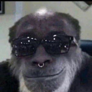 Meet your Posher, Gabriel